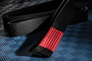 Black belt with red bar - symbolizing the ARMBAR® concept